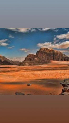 Wadi Stars Camp